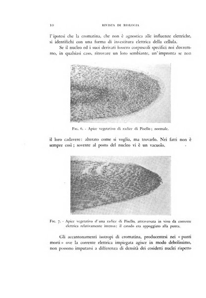 Rivista di biologia