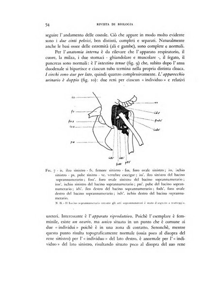 Rivista di biologia