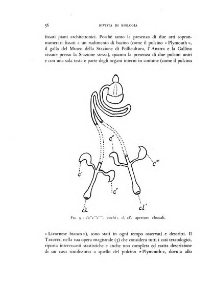 Rivista di biologia