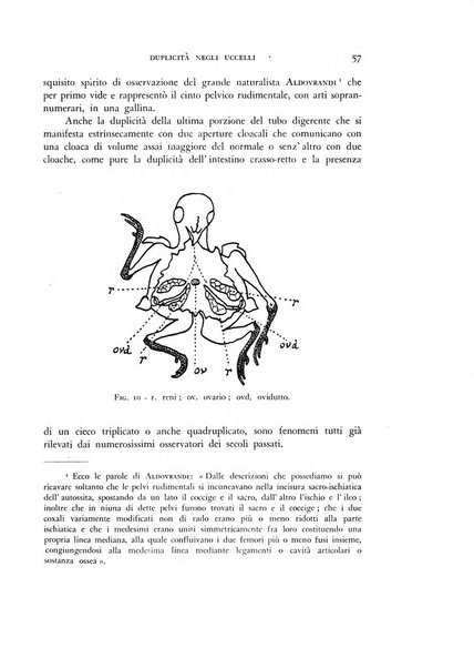 Rivista di biologia