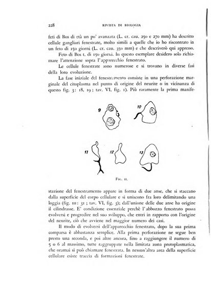 Rivista di biologia