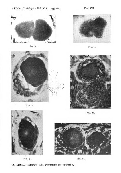 Rivista di biologia