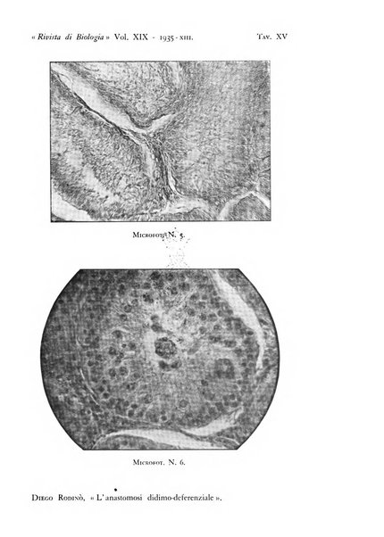 Rivista di biologia