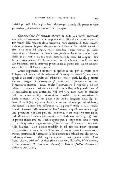 Rivista di biologia