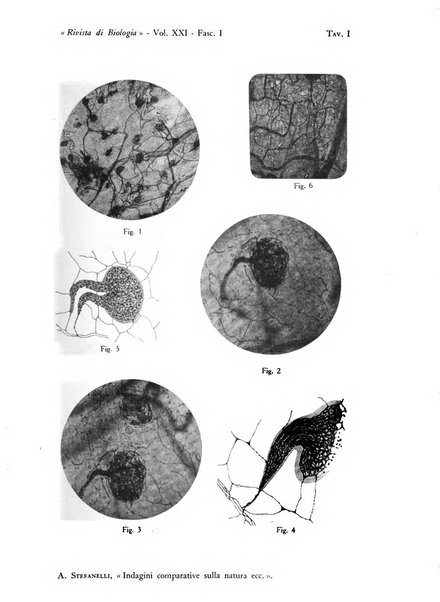 Rivista di biologia