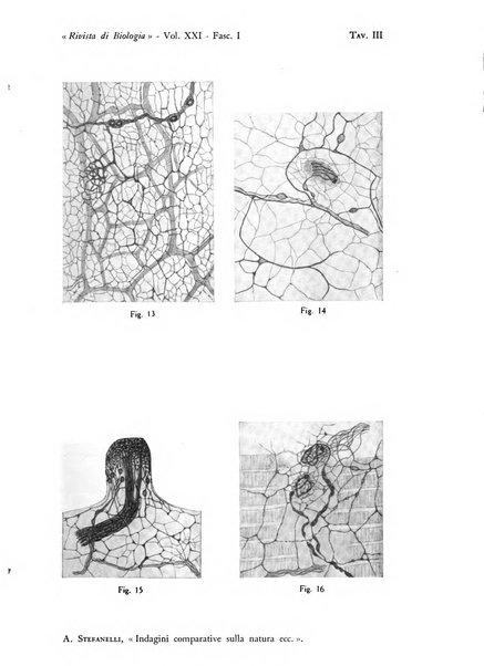 Rivista di biologia