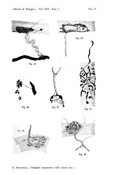 Rivista di biologia