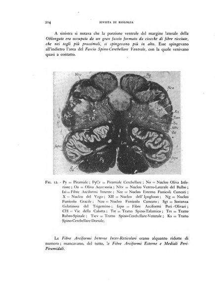 Rivista di biologia