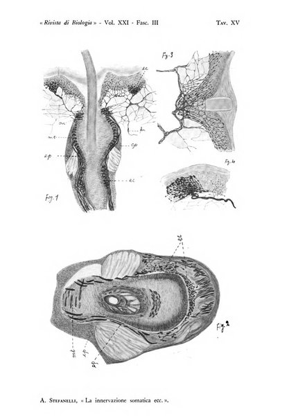 Rivista di biologia