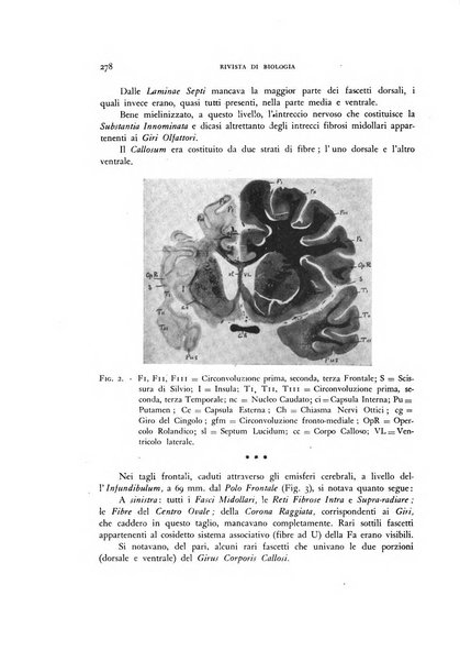 Rivista di biologia