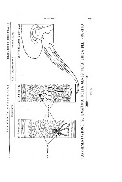 Rivista di biologia