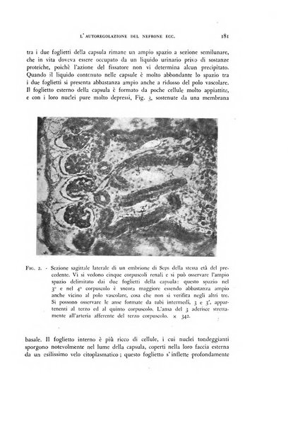 Rivista di biologia