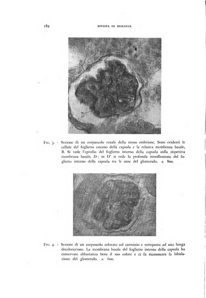 Rivista di biologia