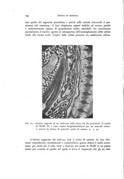 Rivista di biologia