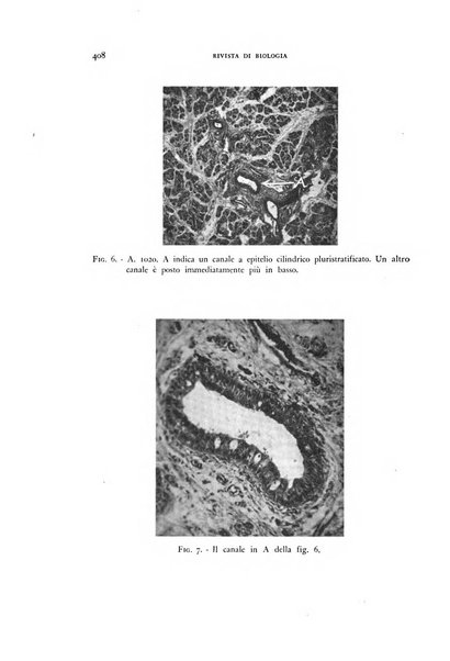 Rivista di biologia