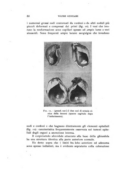 Rivista di biologia