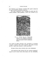 giornale/MIL0000417/1939/V.28/00000084