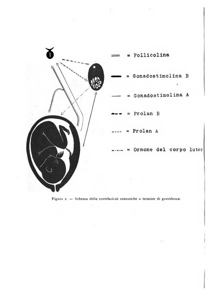 Rivista di biologia