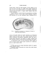 giornale/MIL0000417/1939/V.28/00000396