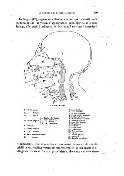 Rivista musicale italiana