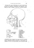 giornale/MIL0054983/1900/unico/00000529