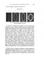 giornale/MIL0054983/1903/unico/00000269