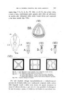 giornale/MIL0054983/1931/unico/00000259