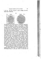 giornale/MIL0111044/1870-1872/unico/00000381