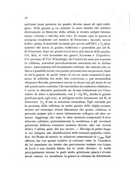 Archivio botanico per la sistematica, fitogeografia e genetica (storica e sperimentale) e Bollettino dell'Istituto botanico della R. Università di Modena