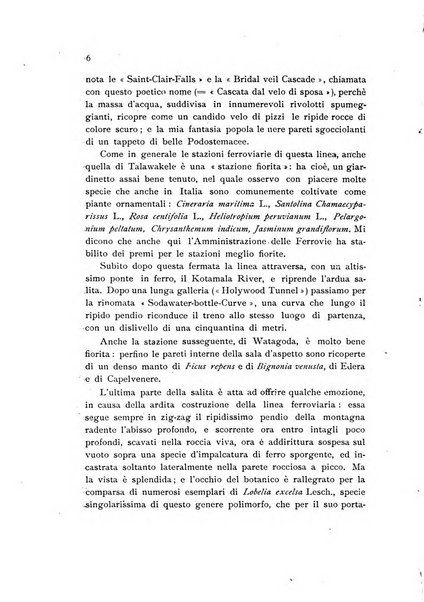 Archivio botanico per la sistematica, fitogeografia e genetica (storica e sperimentale) e Bollettino dell'Istituto botanico della R. Università di Modena