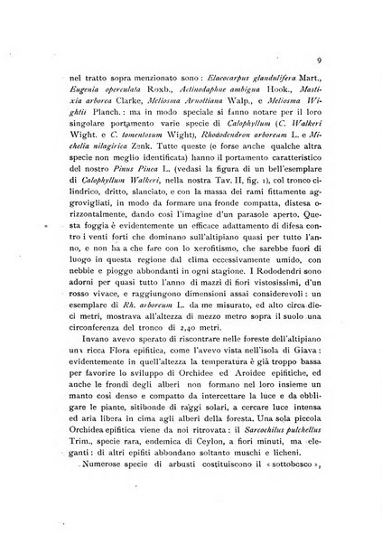 Archivio botanico per la sistematica, fitogeografia e genetica (storica e sperimentale) e Bollettino dell'Istituto botanico della R. Università di Modena