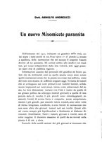 giornale/MIL0114029/1926/unico/00000028