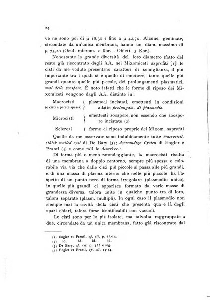 Archivio botanico per la sistematica, fitogeografia e genetica (storica e sperimentale) e Bollettino dell'Istituto botanico della R. Università di Modena