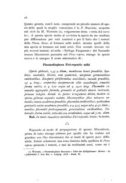 Archivio botanico per la sistematica, fitogeografia e genetica (storica e sperimentale) e Bollettino dell'Istituto botanico della R. Università di Modena