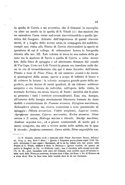 Archivio botanico per la sistematica, fitogeografia e genetica (storica e sperimentale) e Bollettino dell'Istituto botanico della R. Università di Modena