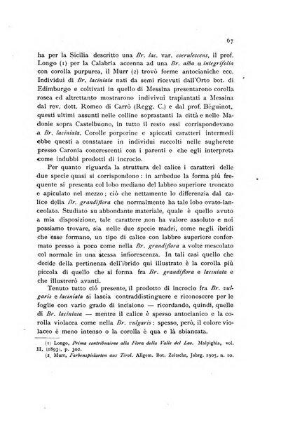 Archivio botanico per la sistematica, fitogeografia e genetica (storica e sperimentale) e Bollettino dell'Istituto botanico della R. Università di Modena