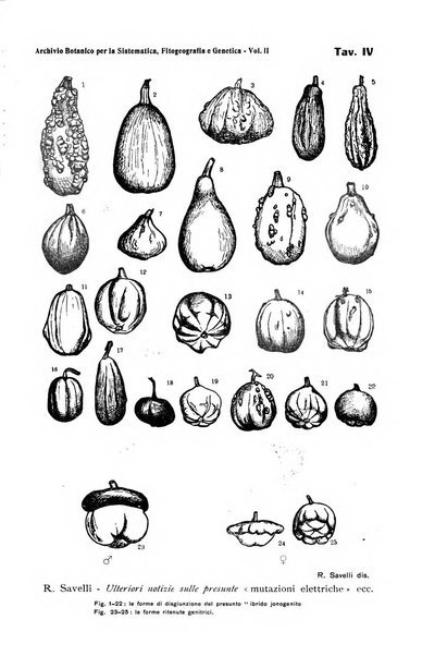 Archivio botanico per la sistematica, fitogeografia e genetica (storica e sperimentale) e Bollettino dell'Istituto botanico della R. Università di Modena