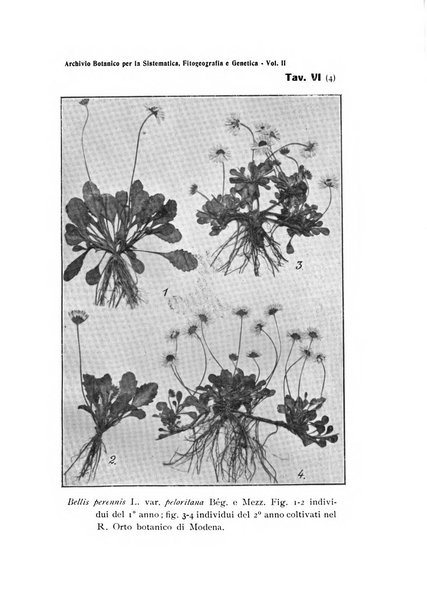 Archivio botanico per la sistematica, fitogeografia e genetica (storica e sperimentale) e Bollettino dell'Istituto botanico della R. Università di Modena