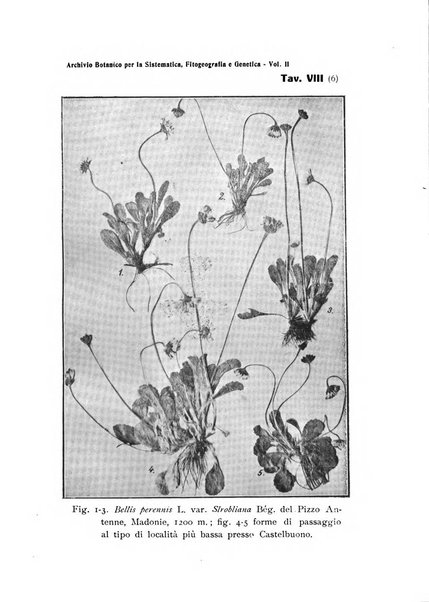 Archivio botanico per la sistematica, fitogeografia e genetica (storica e sperimentale) e Bollettino dell'Istituto botanico della R. Università di Modena