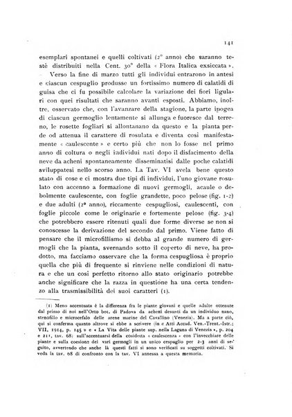 Archivio botanico per la sistematica, fitogeografia e genetica (storica e sperimentale) e Bollettino dell'Istituto botanico della R. Università di Modena