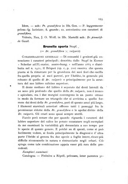 Archivio botanico per la sistematica, fitogeografia e genetica (storica e sperimentale) e Bollettino dell'Istituto botanico della R. Università di Modena