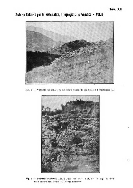 Archivio botanico per la sistematica, fitogeografia e genetica (storica e sperimentale) e Bollettino dell'Istituto botanico della R. Università di Modena