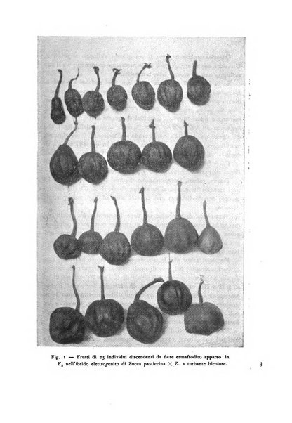 Archivio botanico per la sistematica, fitogeografia e genetica (storica e sperimentale) e Bollettino dell'Istituto botanico della R. Università di Modena