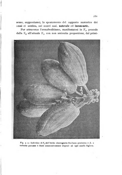 Archivio botanico per la sistematica, fitogeografia e genetica (storica e sperimentale) e Bollettino dell'Istituto botanico della R. Università di Modena