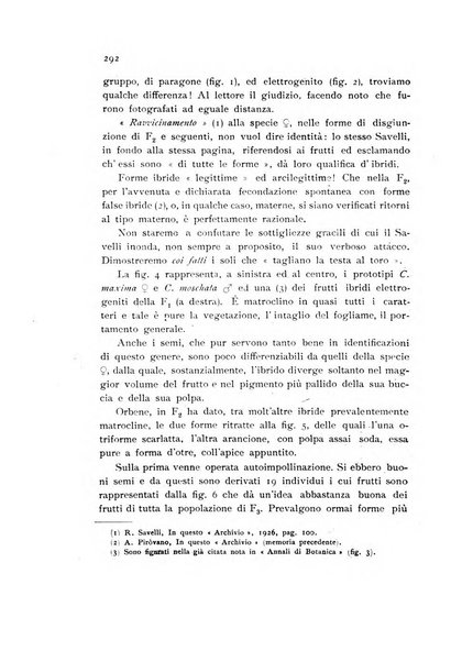 Archivio botanico per la sistematica, fitogeografia e genetica (storica e sperimentale) e Bollettino dell'Istituto botanico della R. Università di Modena