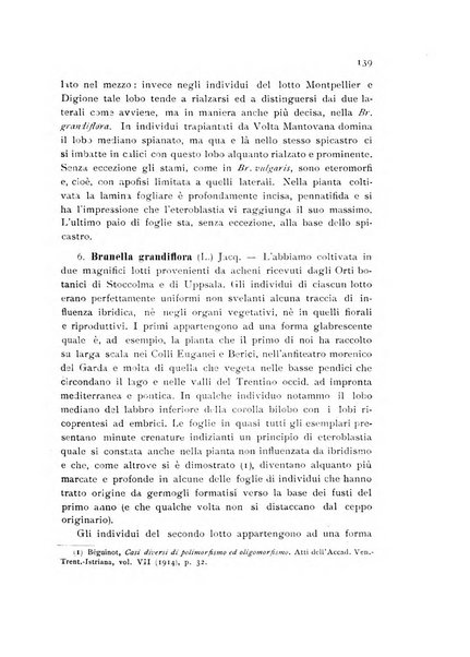 Archivio botanico per la sistematica, fitogeografia e genetica (storica e sperimentale) e Bollettino dell'Istituto botanico della R. Università di Modena