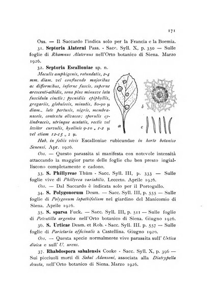 Archivio botanico per la sistematica, fitogeografia e genetica (storica e sperimentale) e Bollettino dell'Istituto botanico della R. Università di Modena