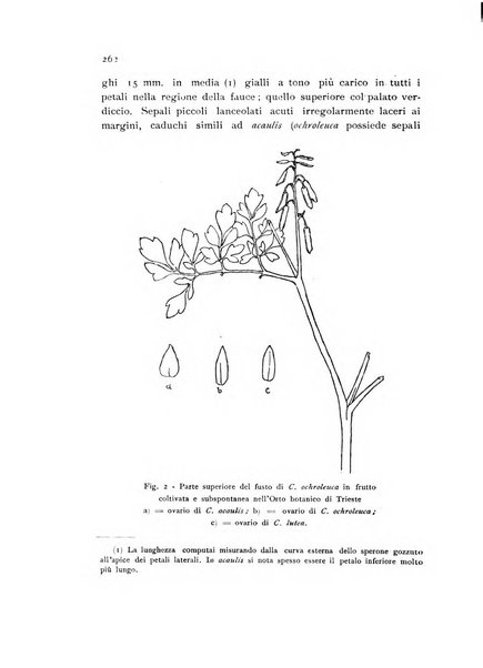 Archivio botanico per la sistematica, fitogeografia e genetica (storica e sperimentale) e Bollettino dell'Istituto botanico della R. Università di Modena