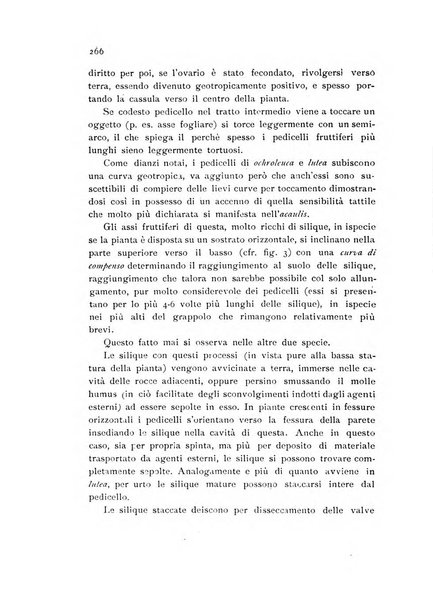 Archivio botanico per la sistematica, fitogeografia e genetica (storica e sperimentale) e Bollettino dell'Istituto botanico della R. Università di Modena