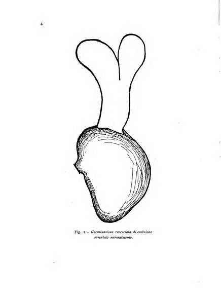 Archivio botanico per la sistematica, fitogeografia e genetica (storica e sperimentale) e Bollettino dell'Istituto botanico della R. Università di Modena